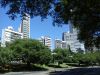 DSC01718.jpg