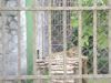 DSC07709.JPG