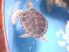 DSC07733.JPG