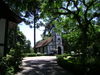 DSC00987.JPG